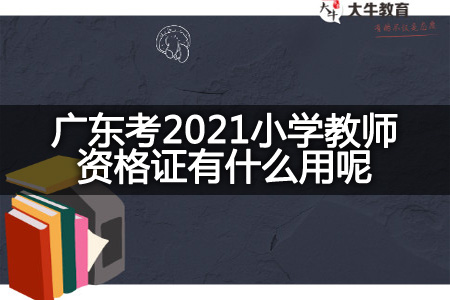 广东考2021小学教师资格证