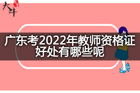 广东考2022年教师资格证