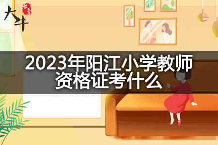 2023年阳江小学教师资格证
