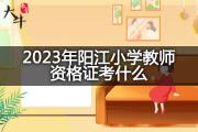 2023年阳江小学教师资格证考什么？