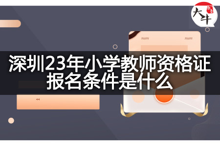 深圳23年小学教师资格证报名