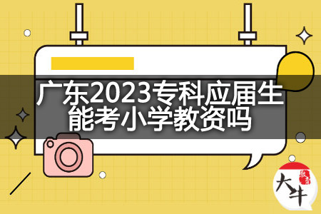 广东2023专科应届生考小学教资