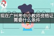 现在广州考中小教师资格证需要什么条件？
