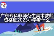 广东专科非师范生美术教师资格证2023小学考什么？
