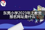 东莞小学2023年上教资报名网址是什么？