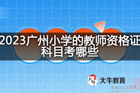 2023广州小学的教师资格证科目