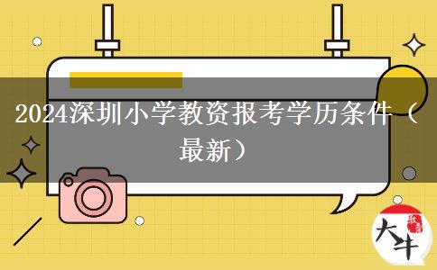 2024深圳小学教资报考学历条件（最新）