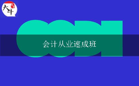 会计从业速成班