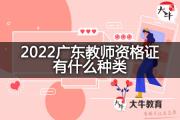 2022广东教师资格证有什么种类？
