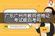 广东广州市教师资格证考试能自考吗？