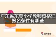 广东省东莞小学教师资格证报名条件有哪些？