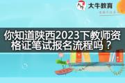 你知道陕西2023下教师资格证笔试报名流程吗？