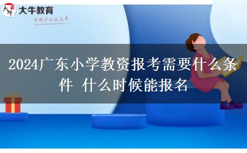 2024广东小学教资报考需要什么条件 什么时候能报名