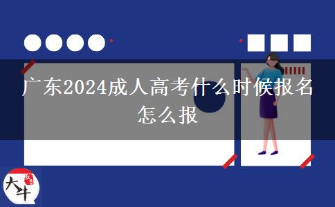 广东2024成人高考什么时候报名 怎么报