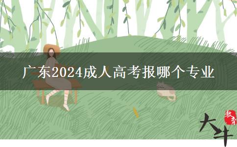 广东2024成人高考报哪个专业