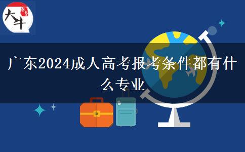 广东2024成人高考报考条件都有什么专业