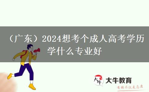 （广东）2024想考个成人高考学历学什么专业好