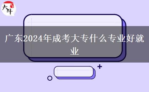 广东2024年成考大专什么专业好就业