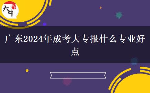 广东2024年成考大专报什么专业好点