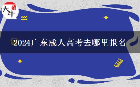 2024广东成人高考去哪里报名