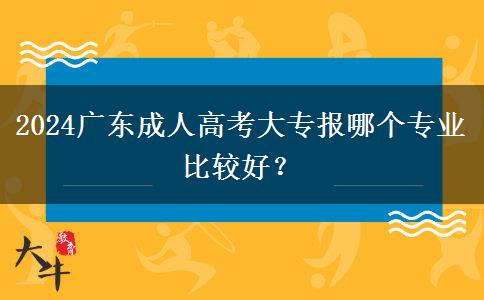 2024广东成人高考大专报哪个专业比较好？