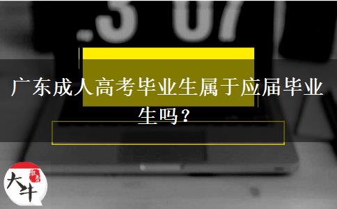 广东成人高考毕业生属于应届毕业生吗？