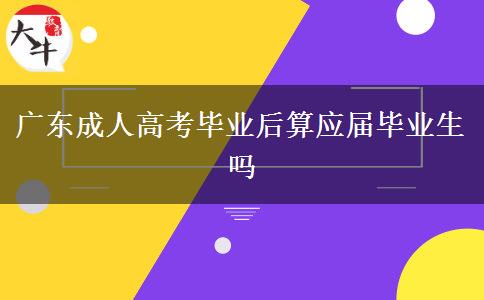 广东成人高考毕业后算应届毕业生吗