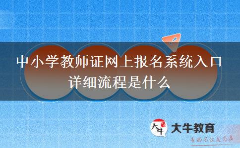 中小学教师证网上报名系统入口 详细流程是什么